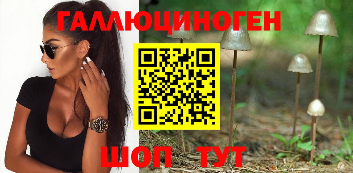 Псилоцибиновые грибы GOLDEN TEACHER Похвистнево