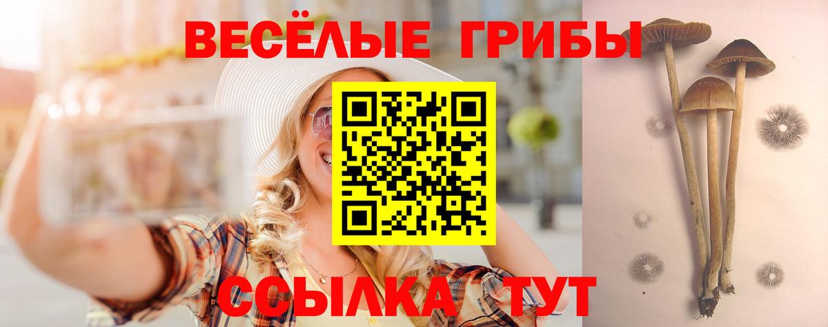Псилоцибиновые грибы прущие грибы  Вход с VPN  Похвистнево  Псилоцибиновые грибы MAGIC MUSHROOMS 